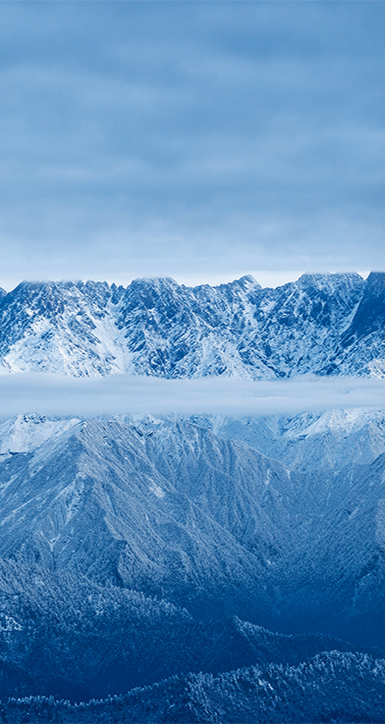 关于全网担保网